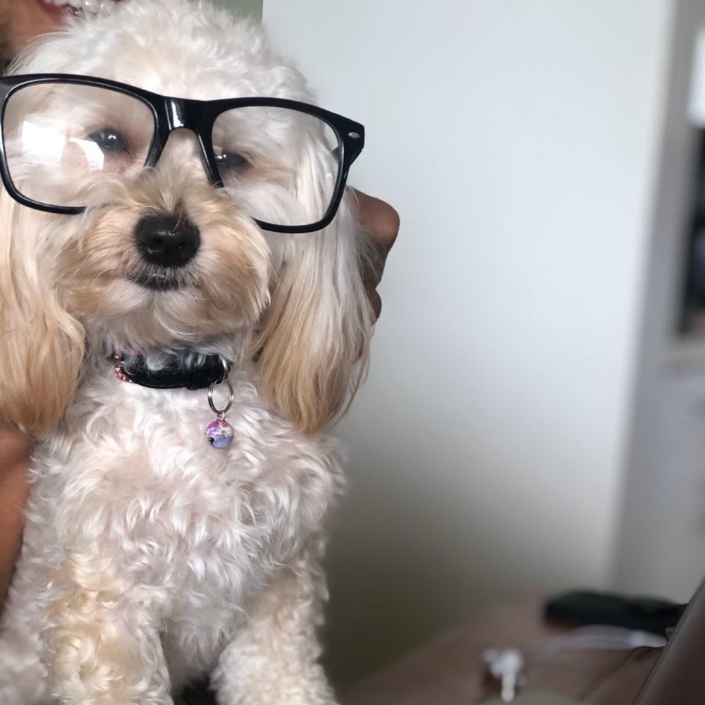 Meet your Posher, Jenn